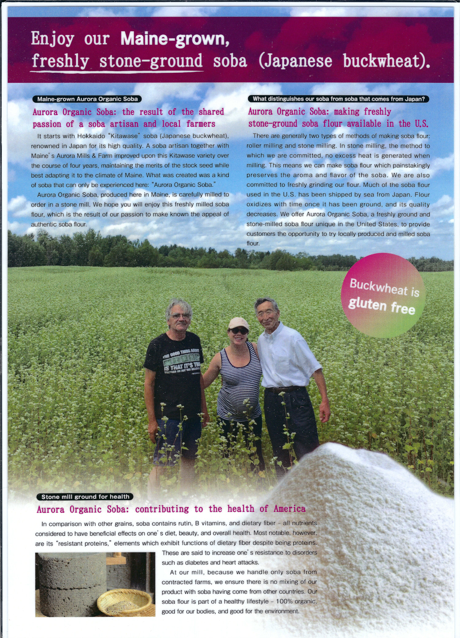 A brochure in English