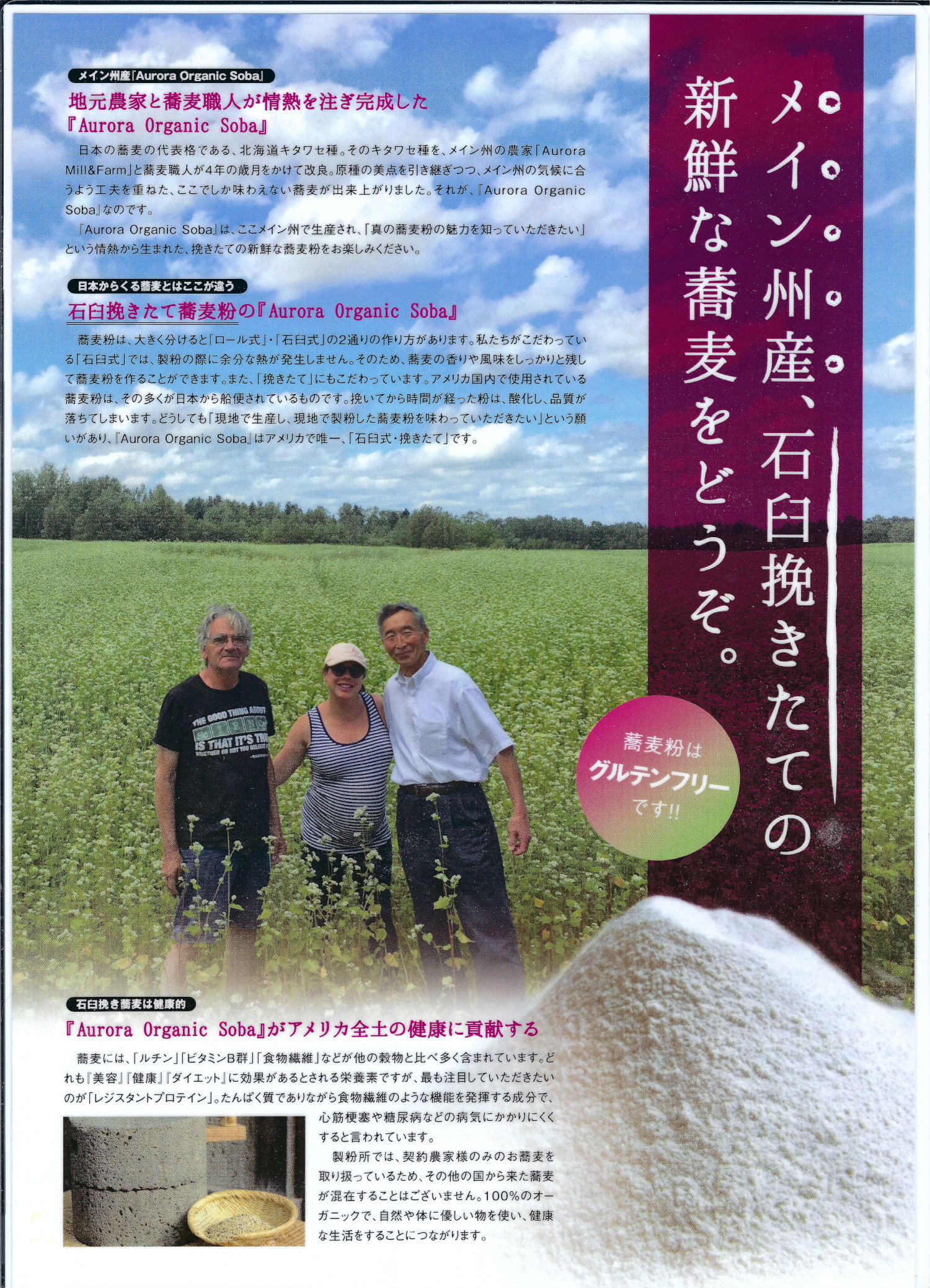 A brochure in Japanese